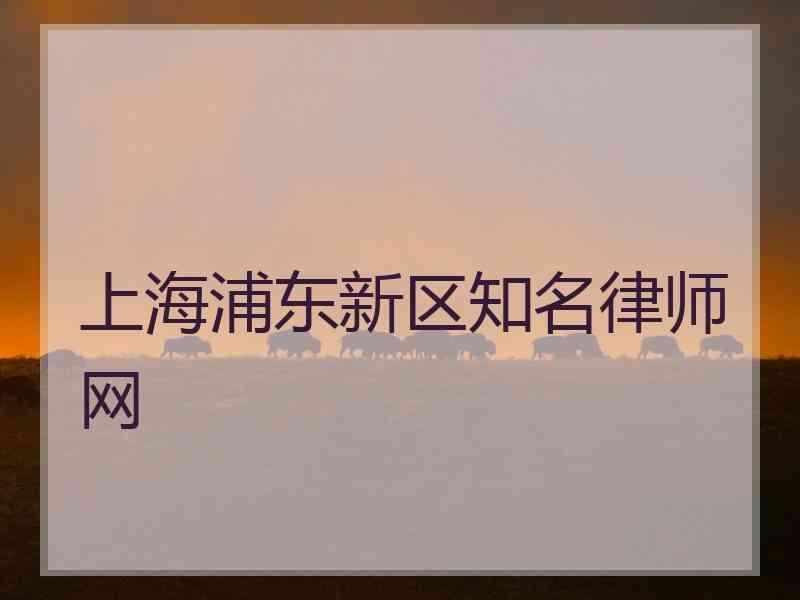 上海浦东新区知名律师网