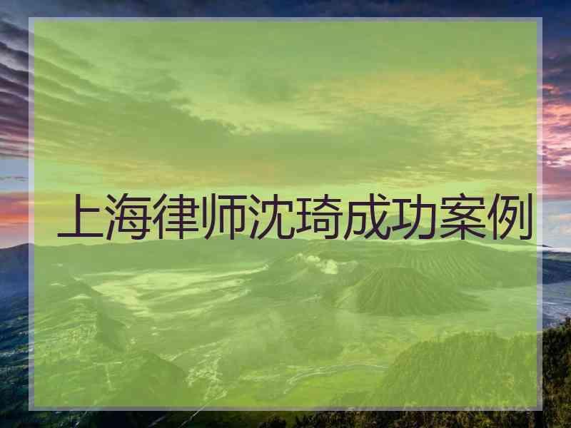 上海律师沈琦成功案例