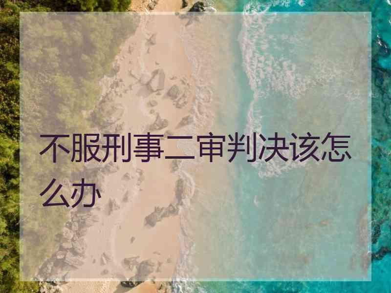 不服刑事二审判决该怎么办