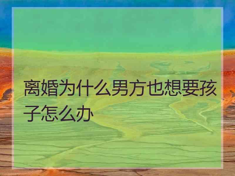 离婚为什么男方也想要孩子怎么办
