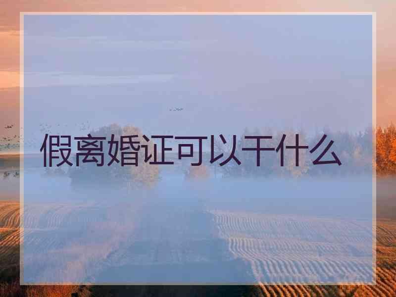 假离婚证可以干什么