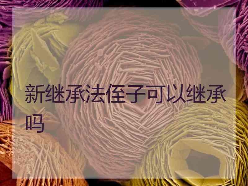 新继承法侄子可以继承吗