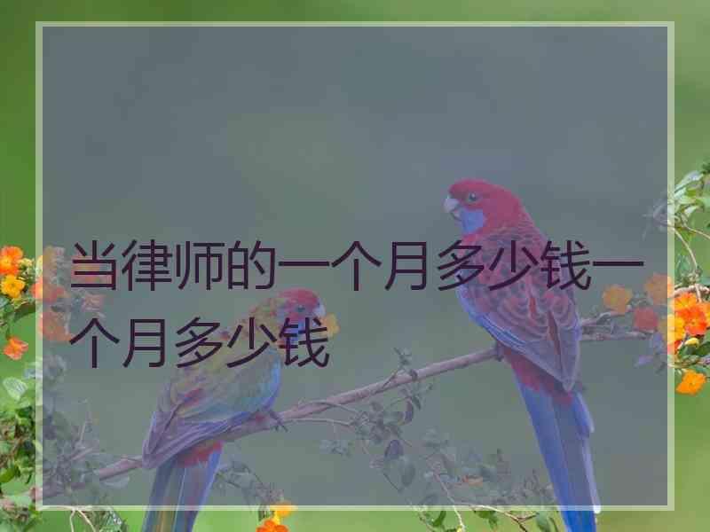 当律师的一个月多少钱一个月多少钱