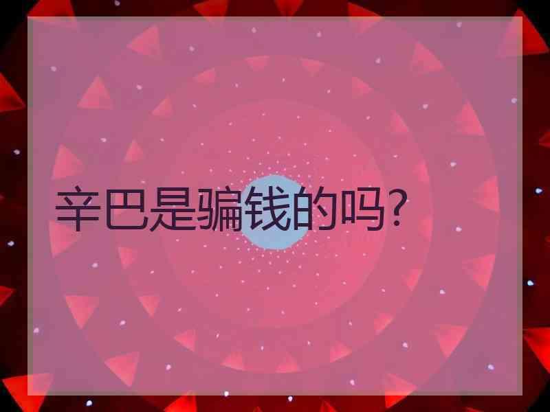 辛巴是骗钱的吗?