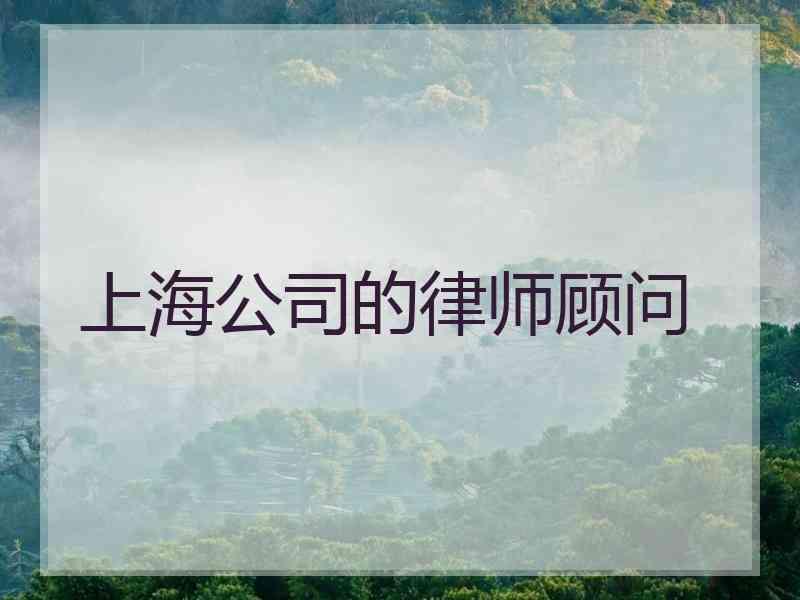 上海公司的律师顾问