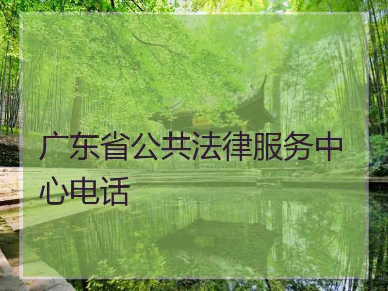 广东省公共法律服务中心电话