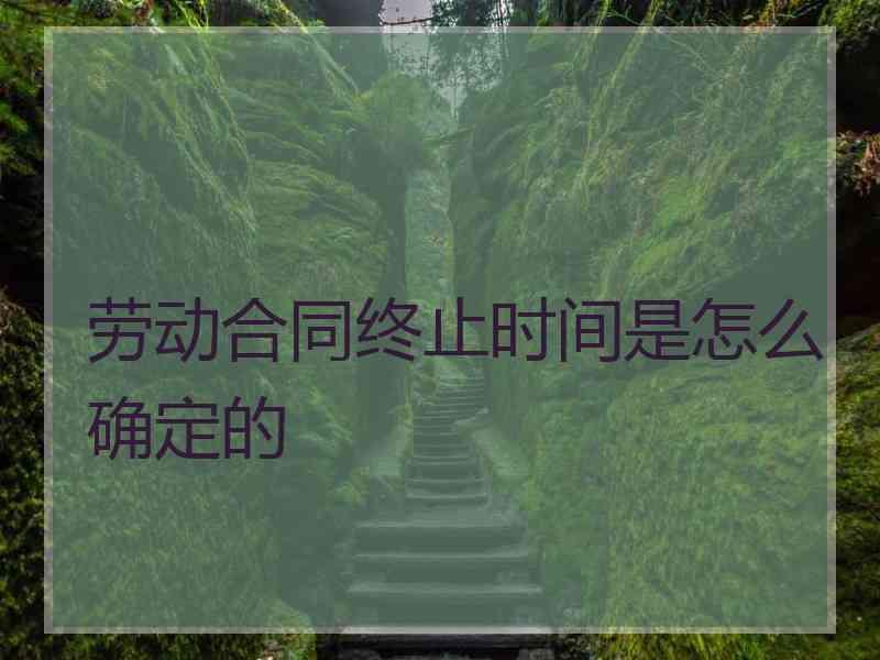 劳动合同终止时间是怎么确定的