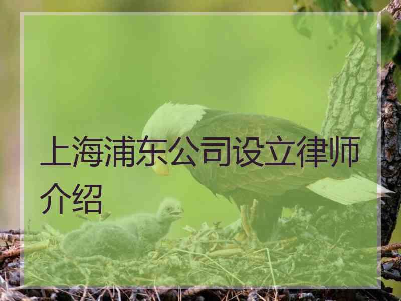 上海浦东公司设立律师介绍