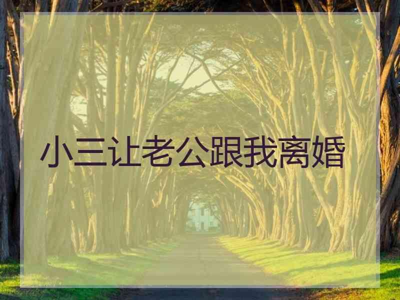 小三让老公跟我离婚