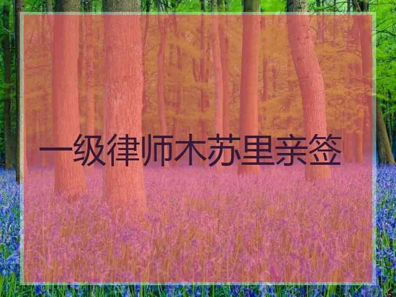 一级律师木苏里亲签