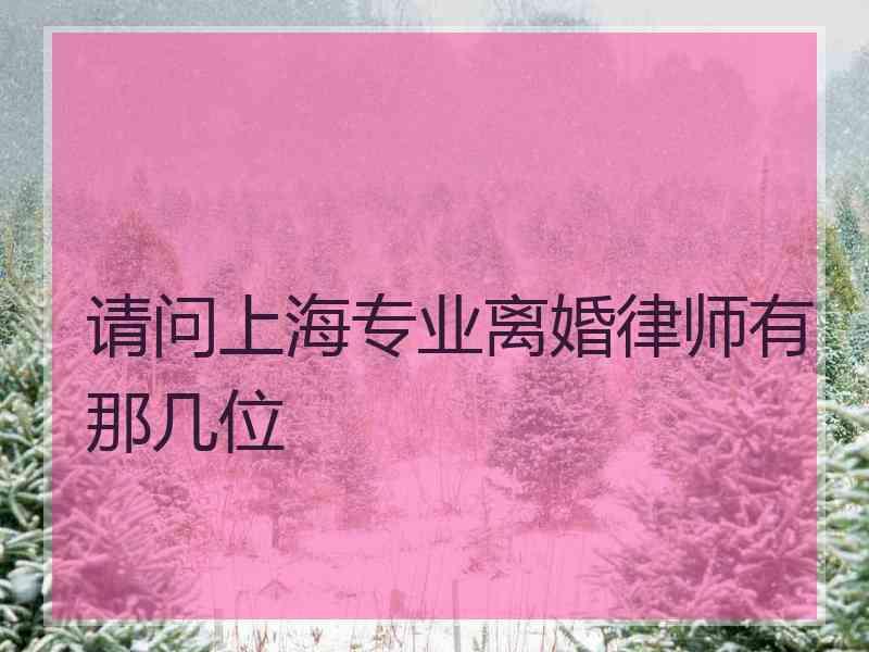 请问上海专业离婚律师有那几位