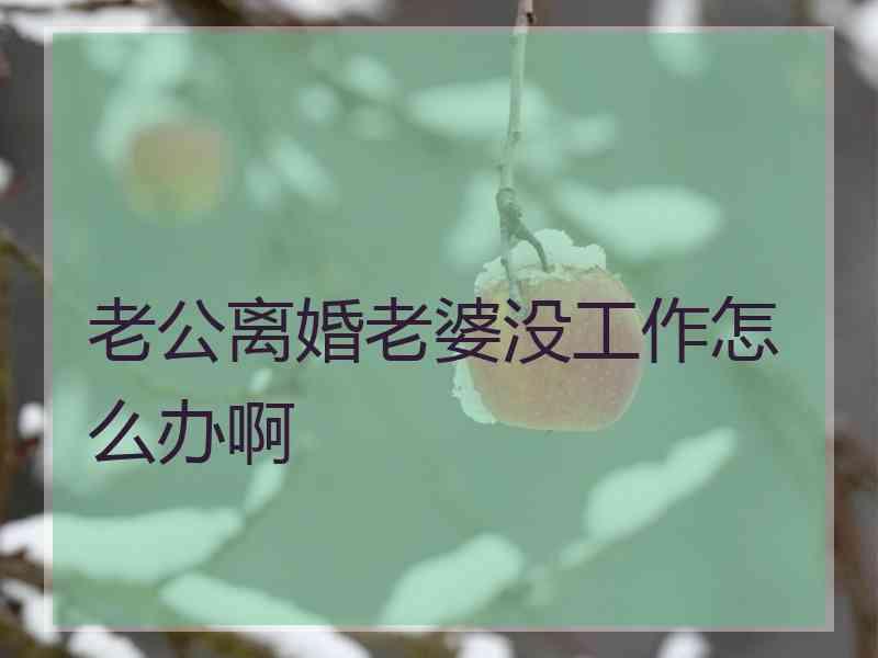 老公离婚老婆没工作怎么办啊