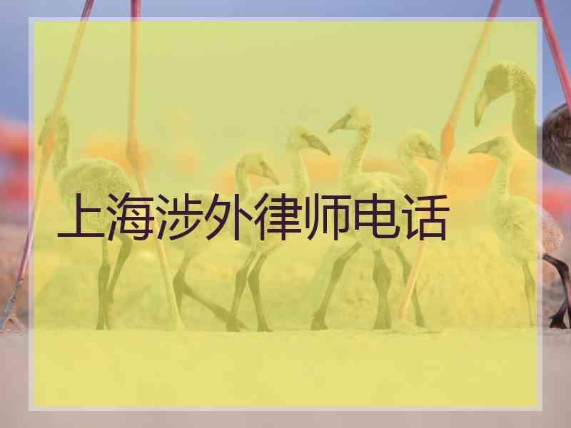 上海涉外律师电话