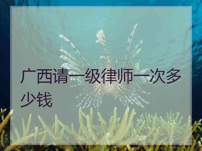 广西请一级律师一次多少钱