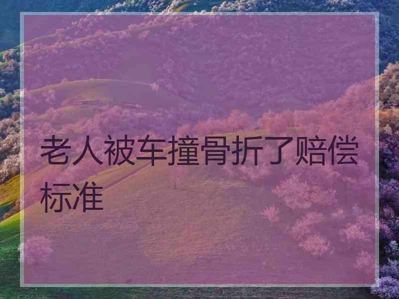 老人被车撞骨折了赔偿标准