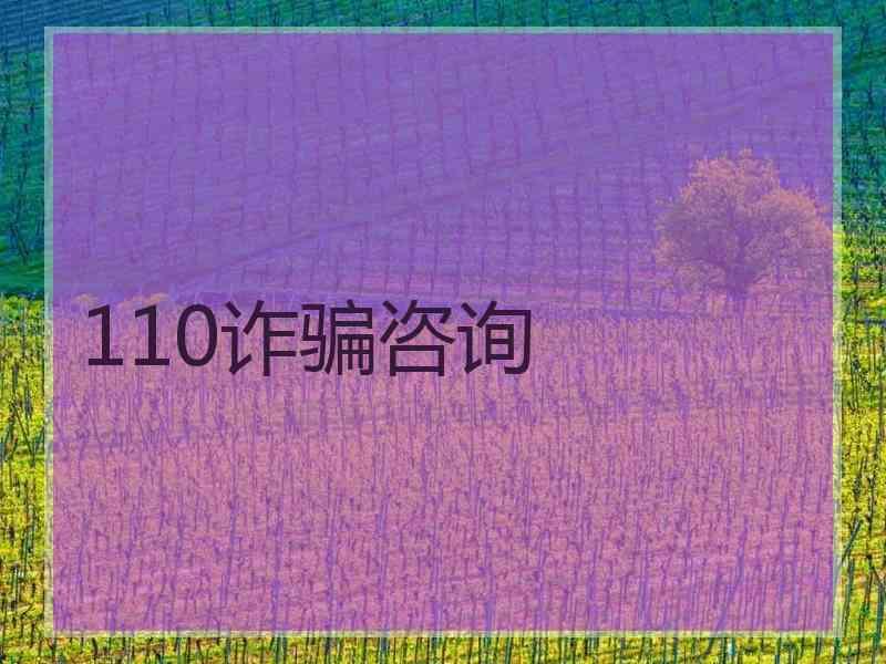 110诈骗咨询