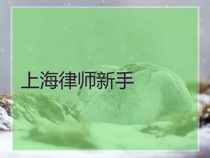 上海律师新手