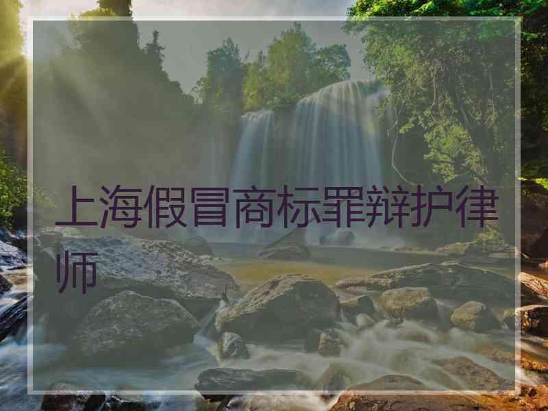 上海假冒商标罪辩护律师