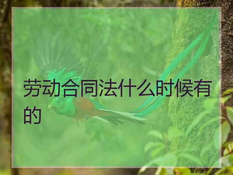 劳动合同法什么时候有的