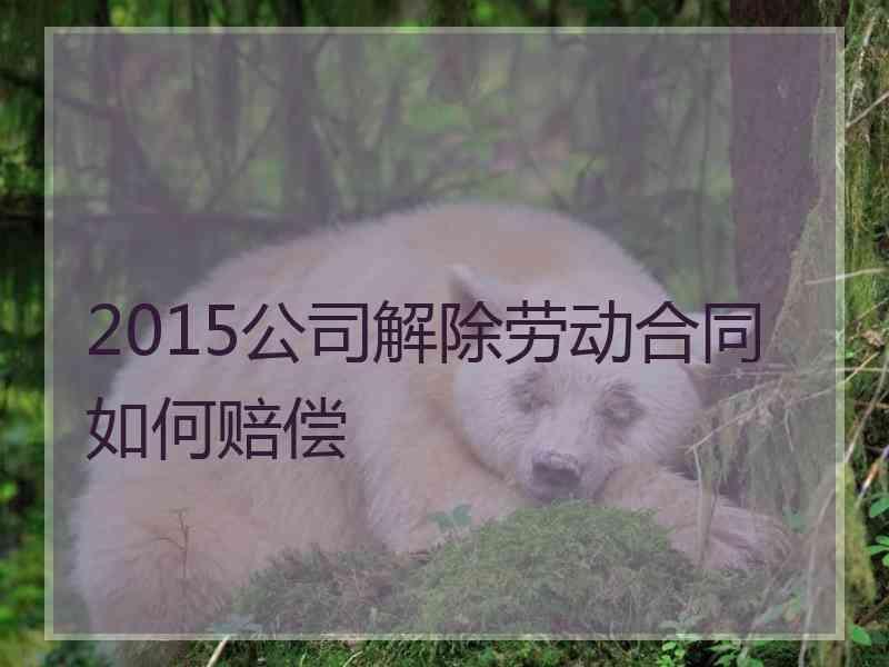 2015公司解除劳动合同如何赔偿