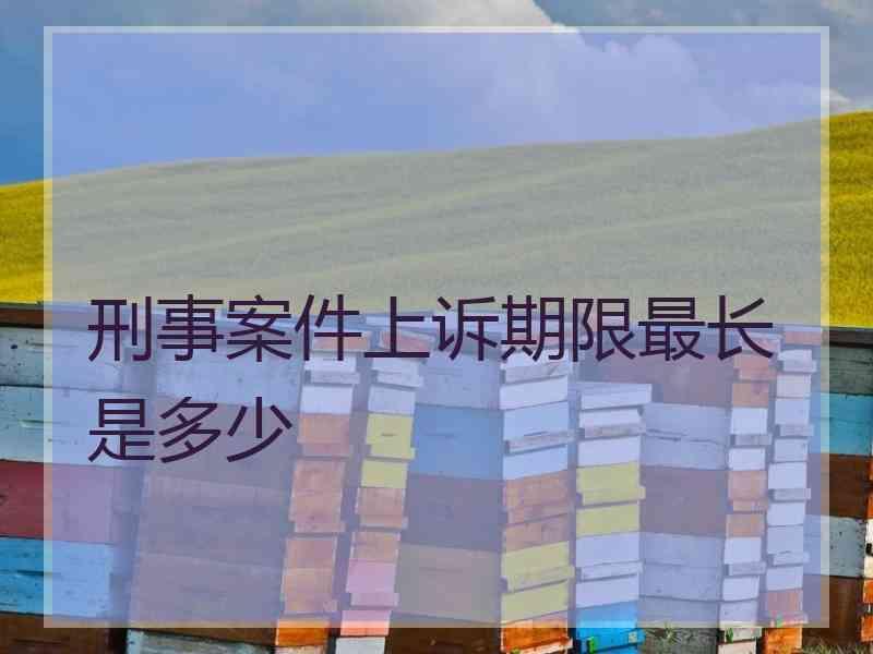 刑事案件上诉期限最长是多少