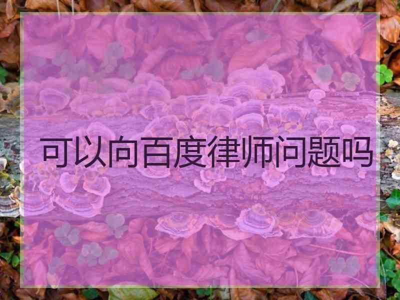 可以向百度律师问题吗