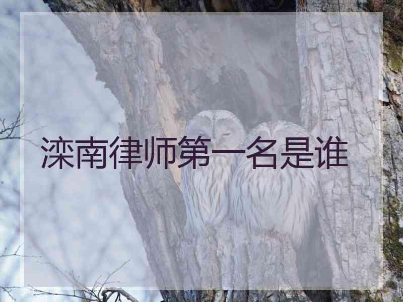 滦南律师第一名是谁