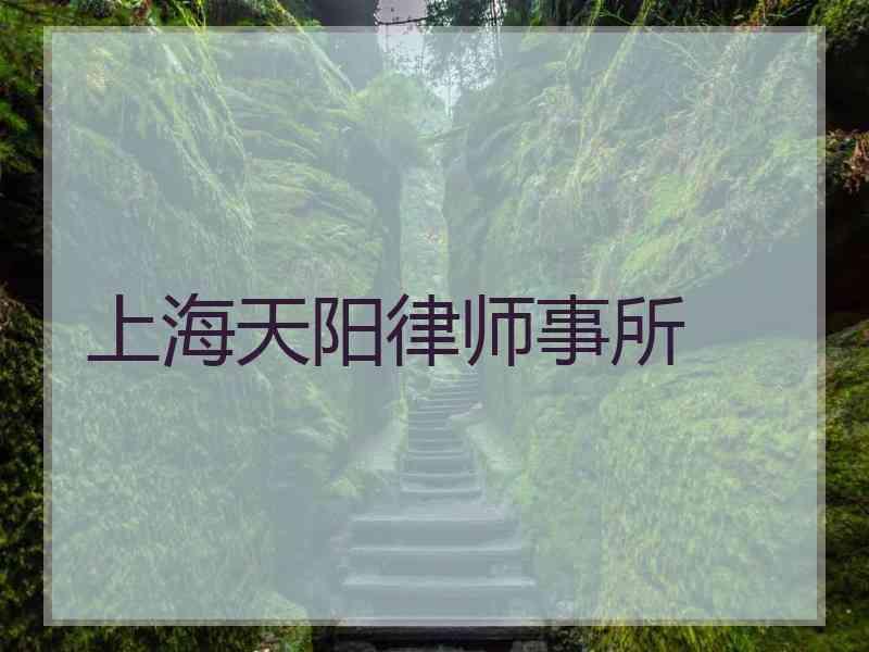 上海天阳律师事所