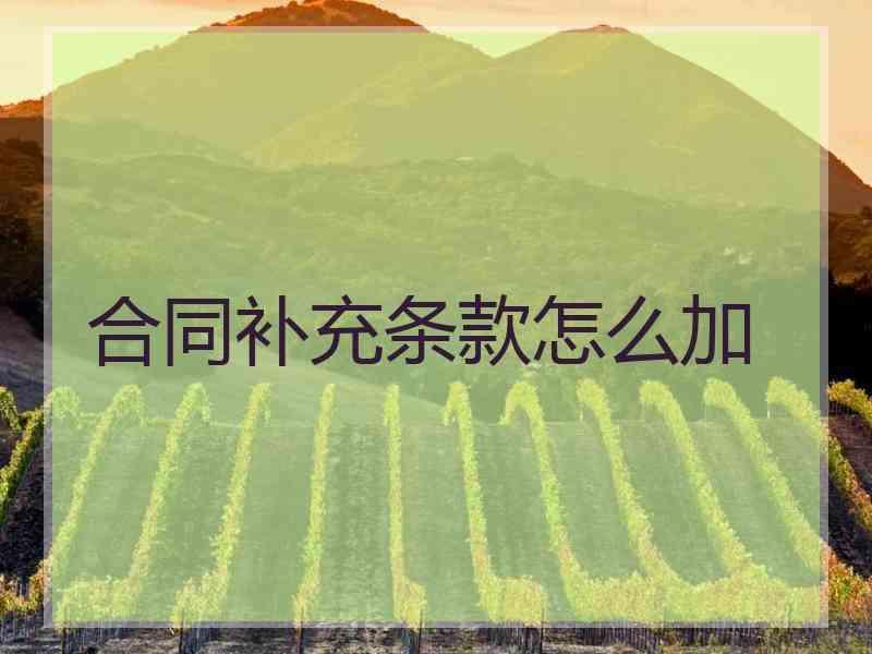 合同补充条款怎么加