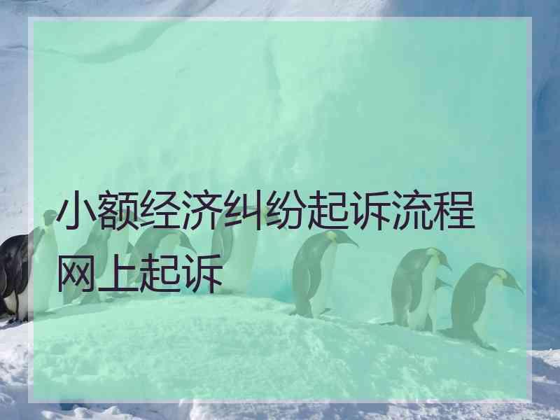 小额经济纠纷起诉流程 网上起诉