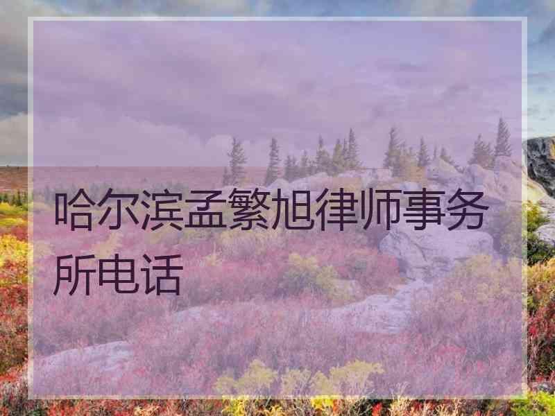 哈尔滨孟繁旭律师事务所电话