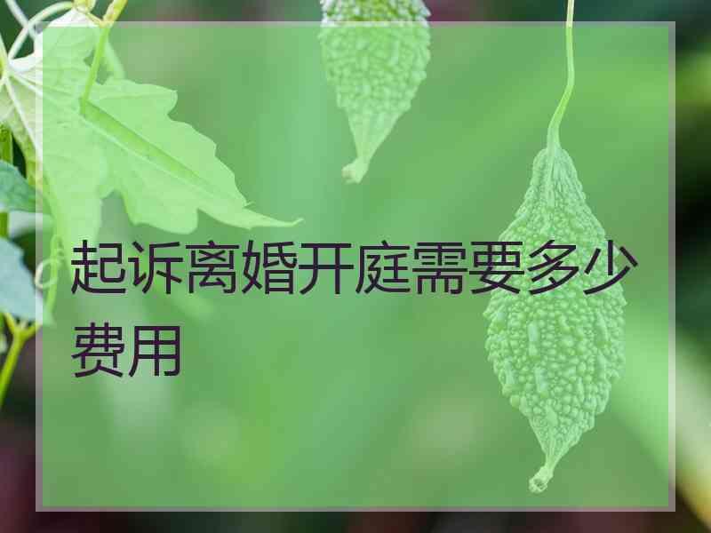 起诉离婚开庭需要多少费用