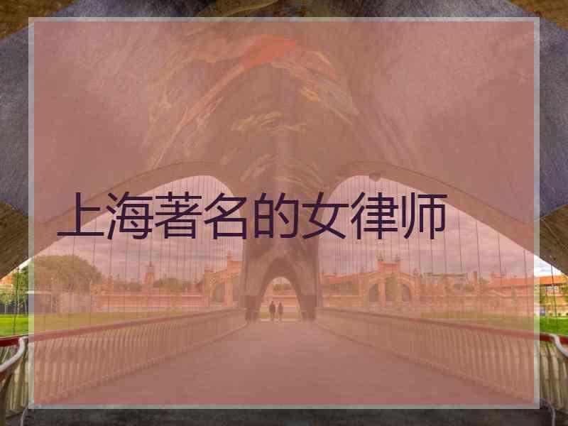 上海著名的女律师