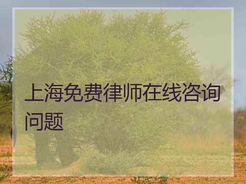 上海免费律师在线咨询问题