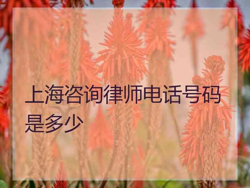 上海咨询律师电话号码是多少