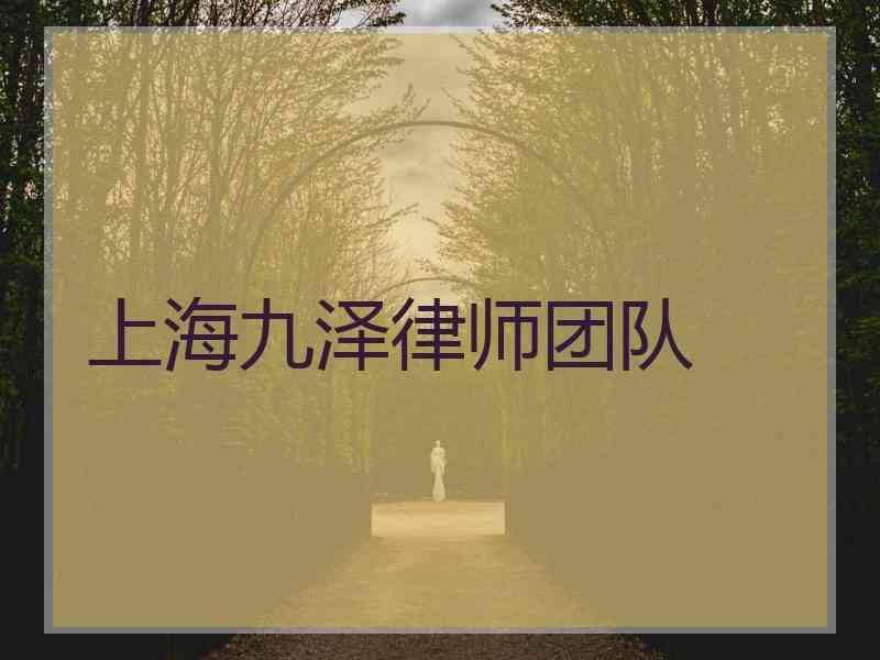 上海九泽律师团队