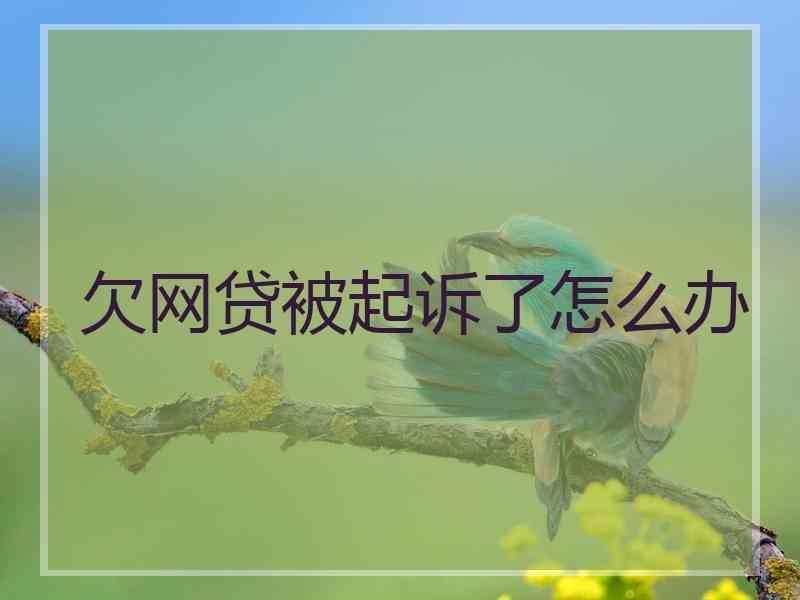 欠网贷被起诉了怎么办