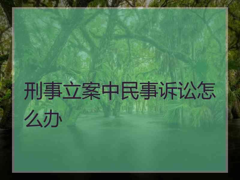 刑事立案中民事诉讼怎么办