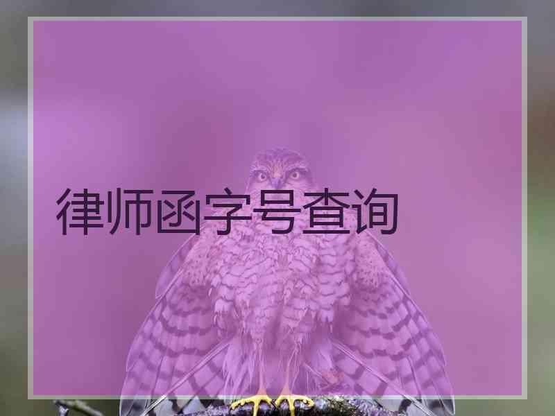 律师函字号查询