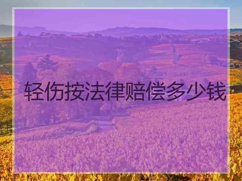 轻伤按法律赔偿多少钱