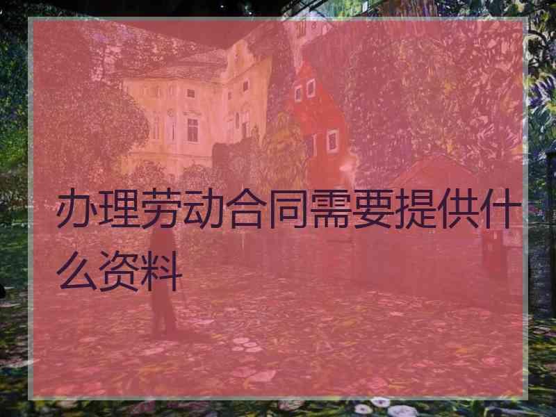 办理劳动合同需要提供什么资料