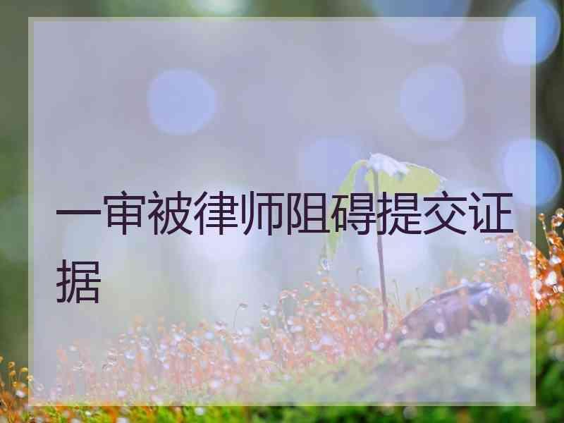 一审被律师阻碍提交证据