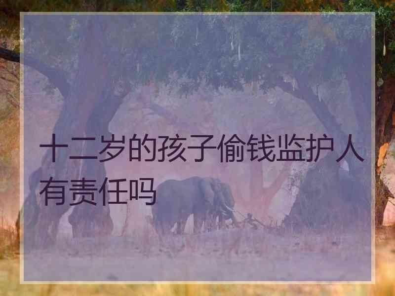 十二岁的孩子偷钱监护人有责任吗