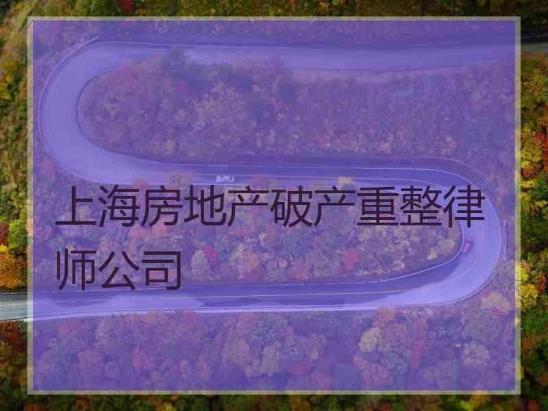 上海房地产破产重整律师公司