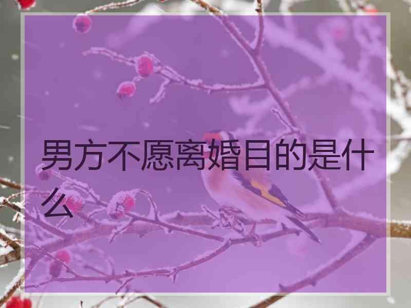 男方不愿离婚目的是什么
