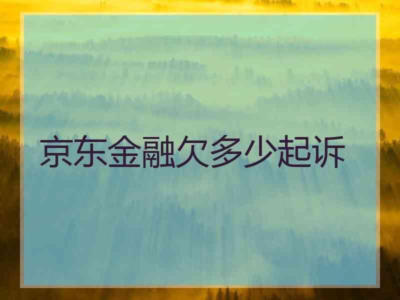 京东金融欠多少起诉