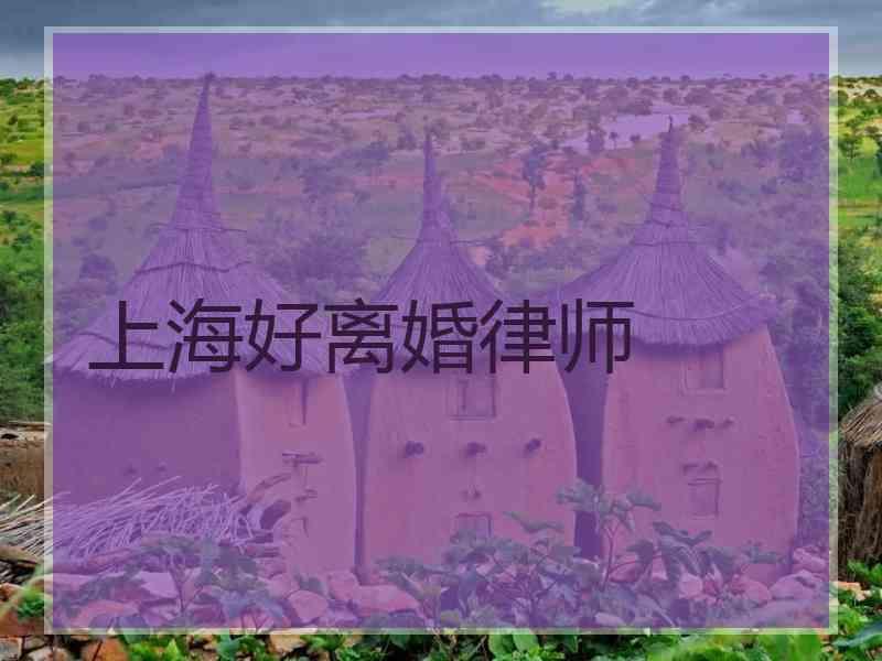 上海好离婚律师
