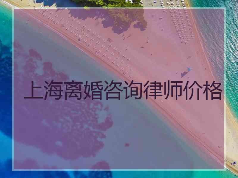 上海离婚咨询律师价格