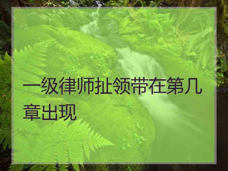 一级律师扯领带在第几章出现