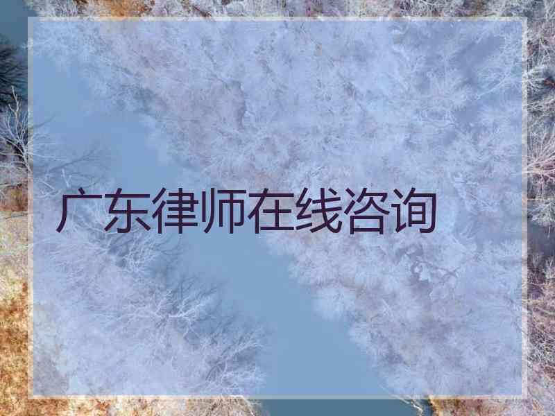 广东律师在线咨询